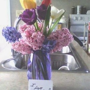 Meet your Posher, Pamela